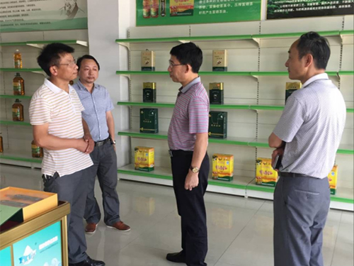 安鑫娱乐,油茶莳植生产加工销售,植物油莳植生产加工销售