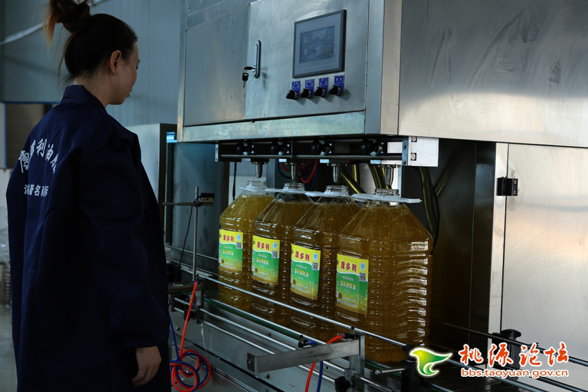 安鑫娱乐,油茶莳植生产加工销售,植物油莳植生产加工销售