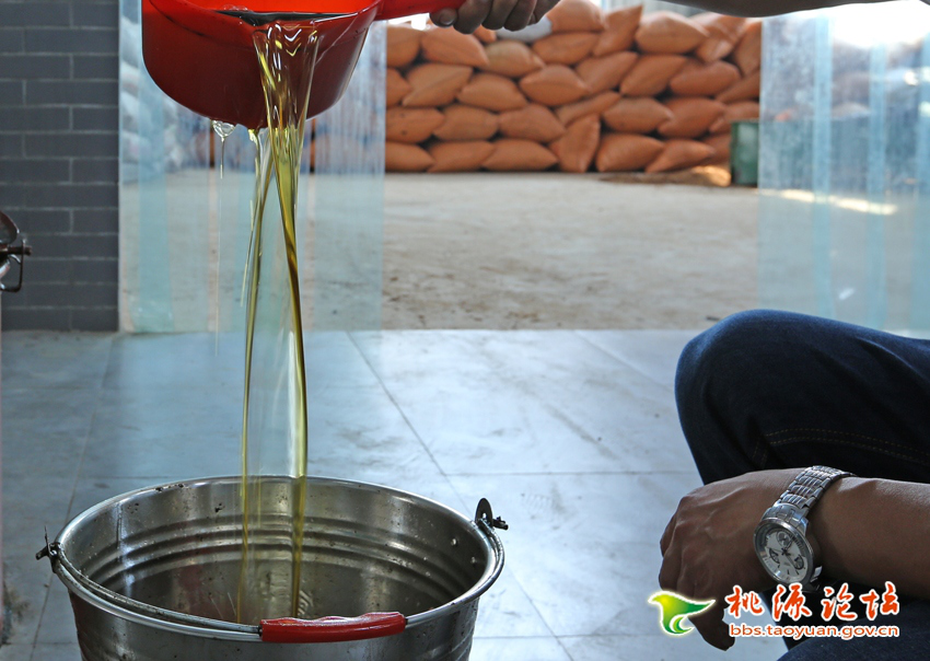 安鑫娱乐,油茶莳植生产加工销售,植物油莳植生产加工销售