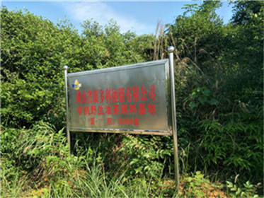 安鑫娱乐,油茶莳植生产加工销售,植物油莳植生产加工销售