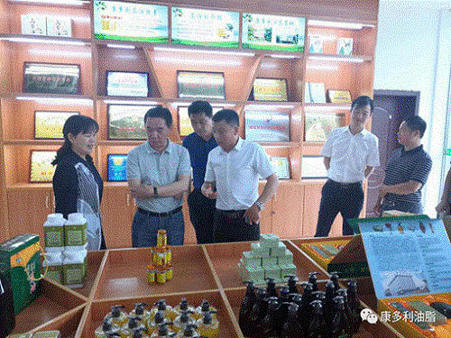 安鑫娱乐,油茶莳植生产加工销售,植物油莳植生产加工销售